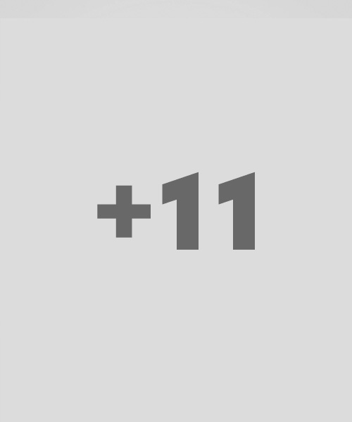 +11 weitere Mitarbeiter
