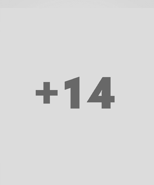 14 weitere Kollegen
